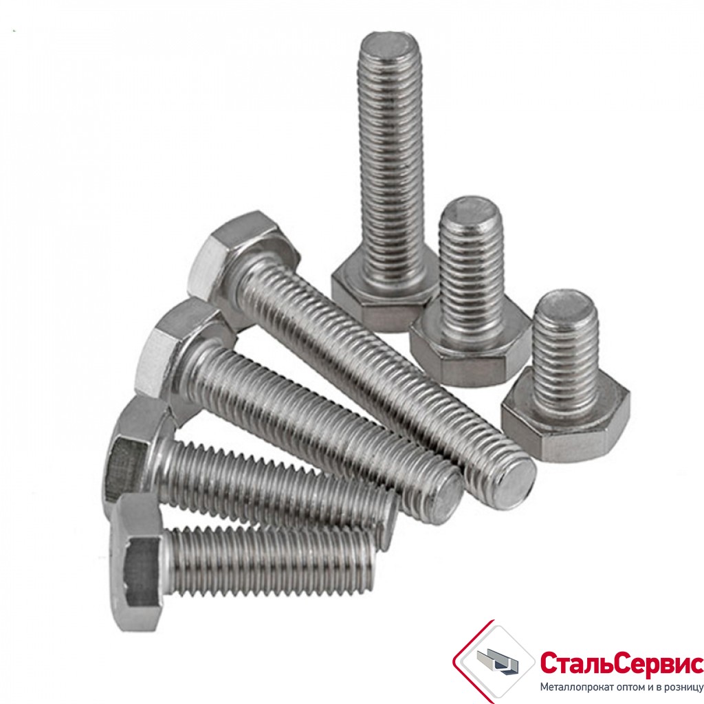 Болт 10х100